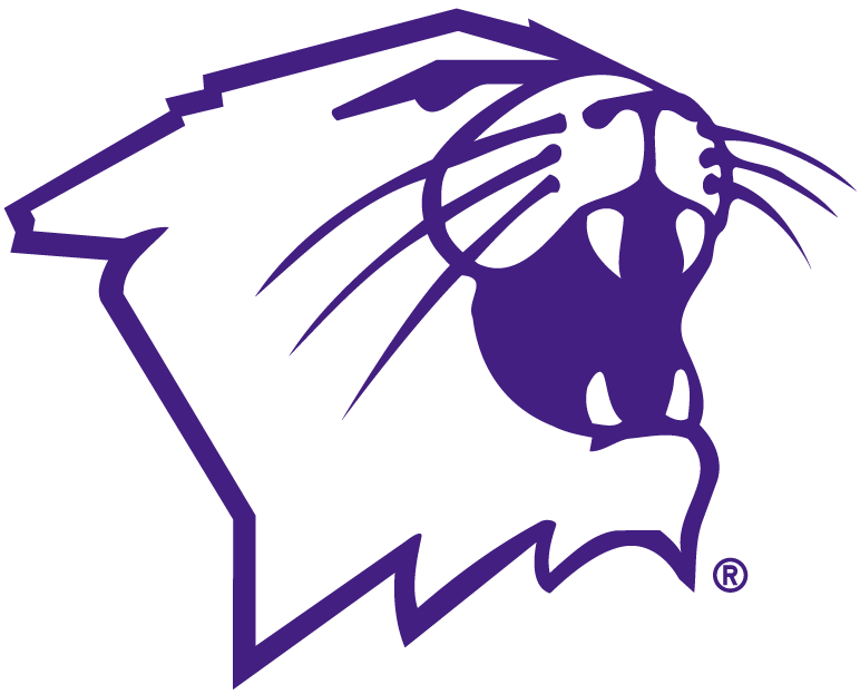 Northwestern Wildcats 1981-Pres Partial Logo diy iron on heat transfer
